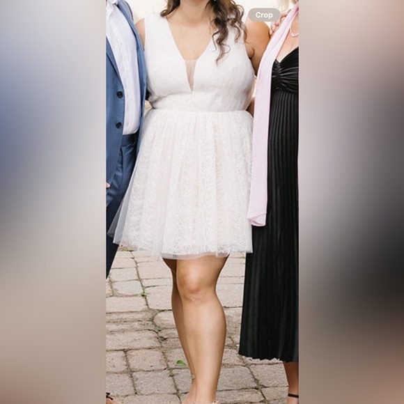 Ivory / Nude Short Wedding Dress (size 12) - Picture 4 of 5